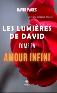 Les lumières de David - Tome 4 - David Pagès - ebook