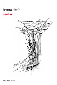 asolar - bruno darío - ebook