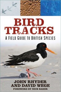 Bird Tracks - John Rhyder - ebook