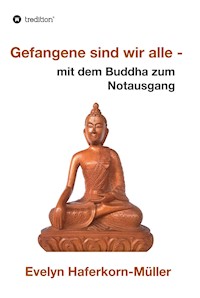 Gefangene sind wir alle - Evelyn Haferkorn-Müller - ebook