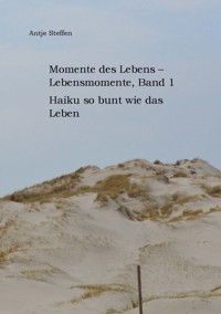 Momente des Lebens - Lebensmomente, Band 1 - Antje Steffen - ebook
