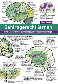 Gehirngerecht lernen (E-Book) - Peter Gasser - ebook