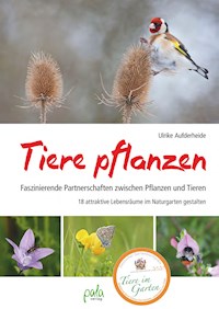 Tiere pflanzen - Ulrike Aufderheide - ebook