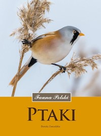 Ptaki Fauna Polski - Dorota Zawadzka - książka