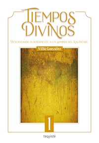 Tiempos Divinos - VïDâ González - ebook