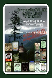 die vertauschten ZWILLINGE - RAYMONDi - ebook