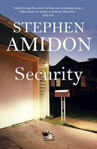 Security - Stephen Amidon - ebook