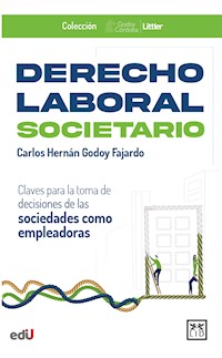 Derecho Laboral Societario - Carlos Hernán Godoy - ebook