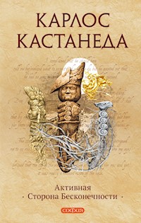 Активная сторона Бесконечности - Карлос Кастанеда - ebook