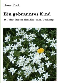 Ein gebranntes Kind - Hans Fink - ebook