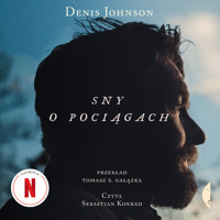 Sny o pociągach - Johnson Denis - ebook + audiobook + książka