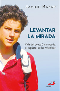 Levantar la mirada - Javier Manso Osuna - ebook