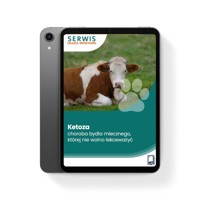 Ketoza – choroba bydła mlecznego, której nie wolno lekceważyć - Michał Tchórzewski - ebook