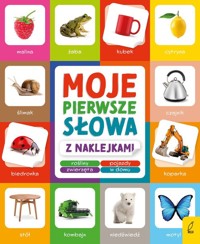 Moje pierwsze słowa z naklejkami -  - książka