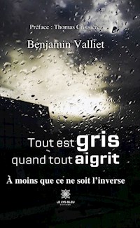 Tout est gris quand tout aigrit - Benjamin Valliet - ebook
