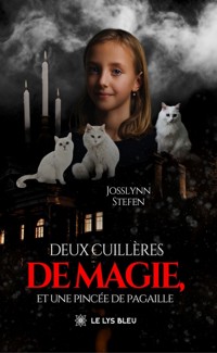 Deux cuillères de magie, et une pincée de pagaille - Josslynn Stefen - ebook