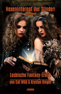Hexeninternat der Sünden - Krystan Knight - ebook