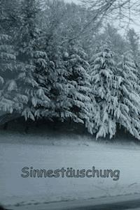 Sinnestäuschung - O. Trilling - ebook