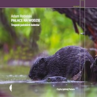 Pałace na wodzie. Tropem polskich bobrów - Adam Robiński - ebook + audiobook