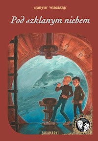 Pod szklanym niebem - Martin Widmark - książka