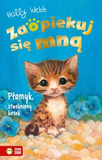 Zaopiekuj się mną. Płomyk, stęskniony kotek - Holly Webb - książka