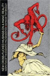 New Cross-Fucked Musings on a Manic Reality -  - ebook
