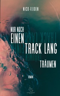 Nur noch einen track lang träumen - Nico Feiden - ebook