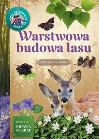 Młody Obserwator Przyrody. Warstwowa budowa lasu - Artur Sawicki - książka