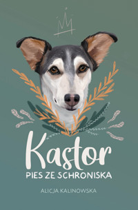 Kastor. Pies ze schroniska - Alicja Kalinowska - ebook + książka