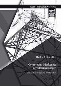 Commodity-Marketing der Stromversorger: Eine Analyse erfolgreicher Wettbewerber - Heiko Schmolke - ebook
