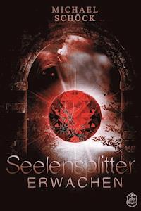 Seelensplitter - Michael Schöck - darmowy ebook