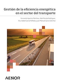 Gestión de la eficiencia energética en el sector del transporte - Fernando Aparicio Martínez - ebook