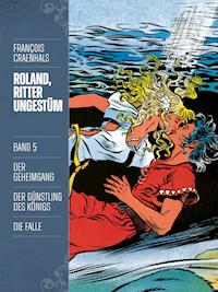 Roland, Ritter Ungestüm 5 - François Craenhals - ebook
