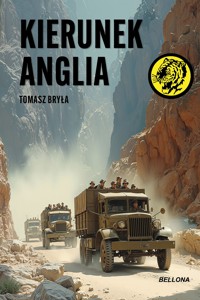 Kierunek Anglia - Tomasz Bryła - ebook + audiobook + książka