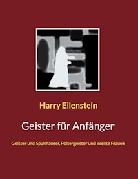 Geister für Anfänger - Harry Eilenstein - ebook