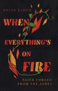 When Everything's on Fire - Brian Zahnd - ebook