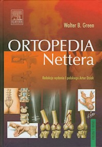 Ortopedia Nettera - Green Walter B. - książka