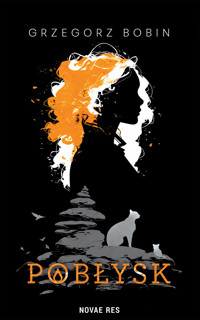 Pobłysk - Bobin Grzegorz - ebook
