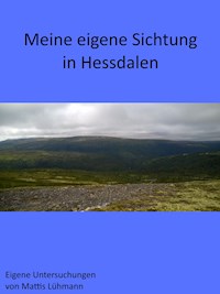 Meine eigene Sichtung in Hessdalen - Mattis Lühmann - ebook