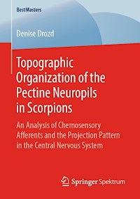 Topographic Organization of the Pectine Neuropils in Scorpions - Denise Drozd - ebook