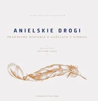 Anielskie drogi - Joan Wester Anderson - ebook