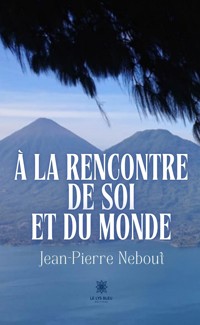 À la rencontre de soi et du monde - Jean-Pierre Nebout - ebook