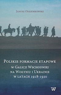 Polskie fomacje etapowe w Galicji Wschodniej na Wołyniu i Ukrainie w latach 1918-1920 - Janusz Odziemkowski - książka