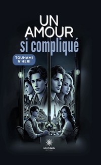 Un amour si compliqué - Touhami N'heri - ebook