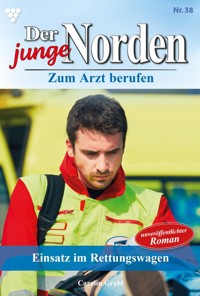 Einsatz im Rettungswagen - Carolin Grahl - ebook