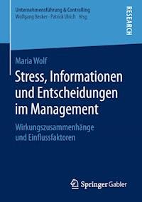 Stress, Informationen und Entscheidungen im Management - Maria Wolf - ebook