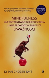 Mindfulness Jak wytrenować dzikiego słonia i inne przygody w praktyce uważności - Bays Chozen Jan - książka