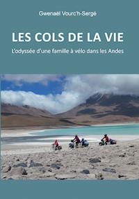 Les cols de la vie - Gwenaël Vourc'h-Sergé - ebook