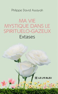 Ma vie mystique dans le spirituelo-gazeux - Philippe David Assayah - ebook