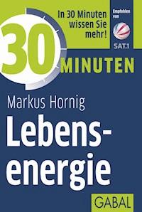 30 Minuten Lebensenergie - Markus Hornig - ebook